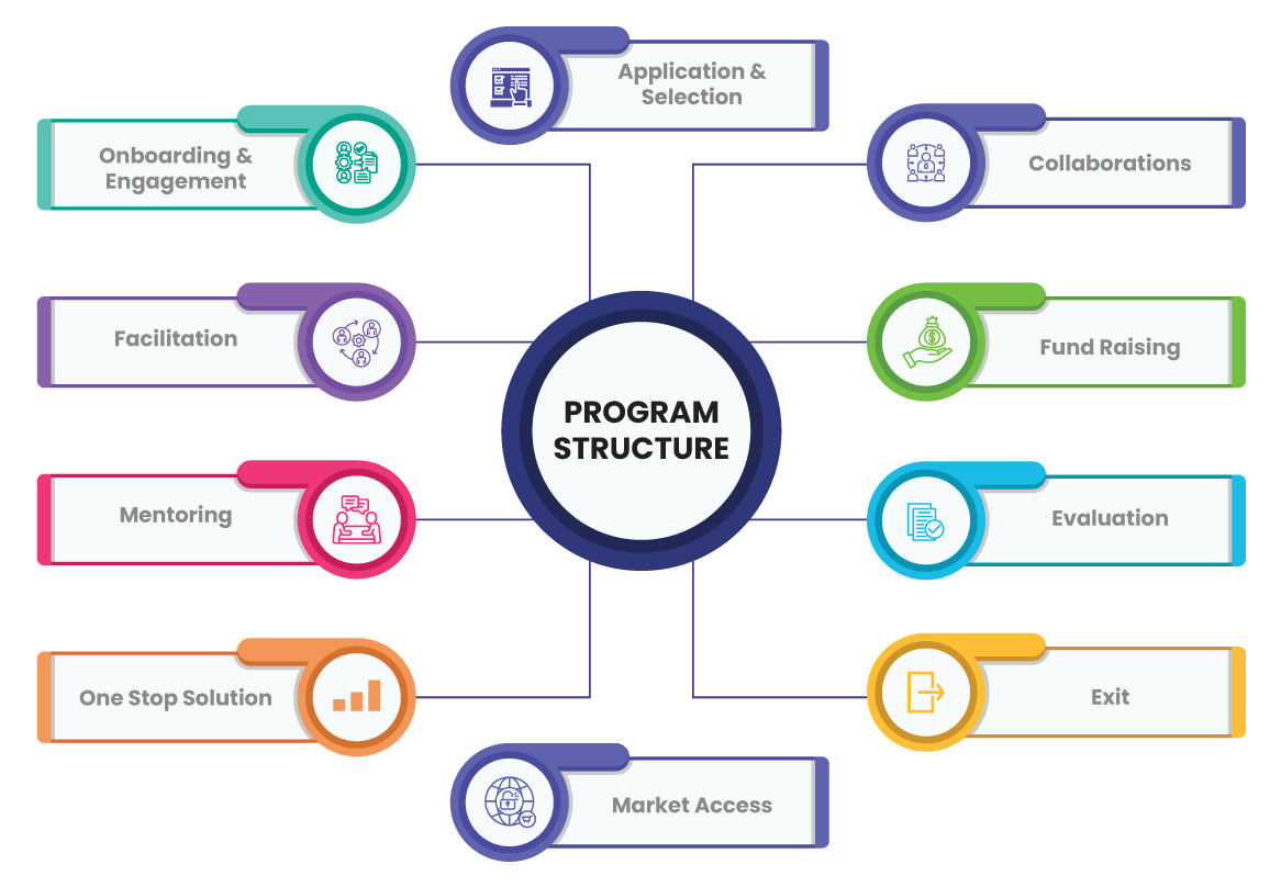 Program Structure Image